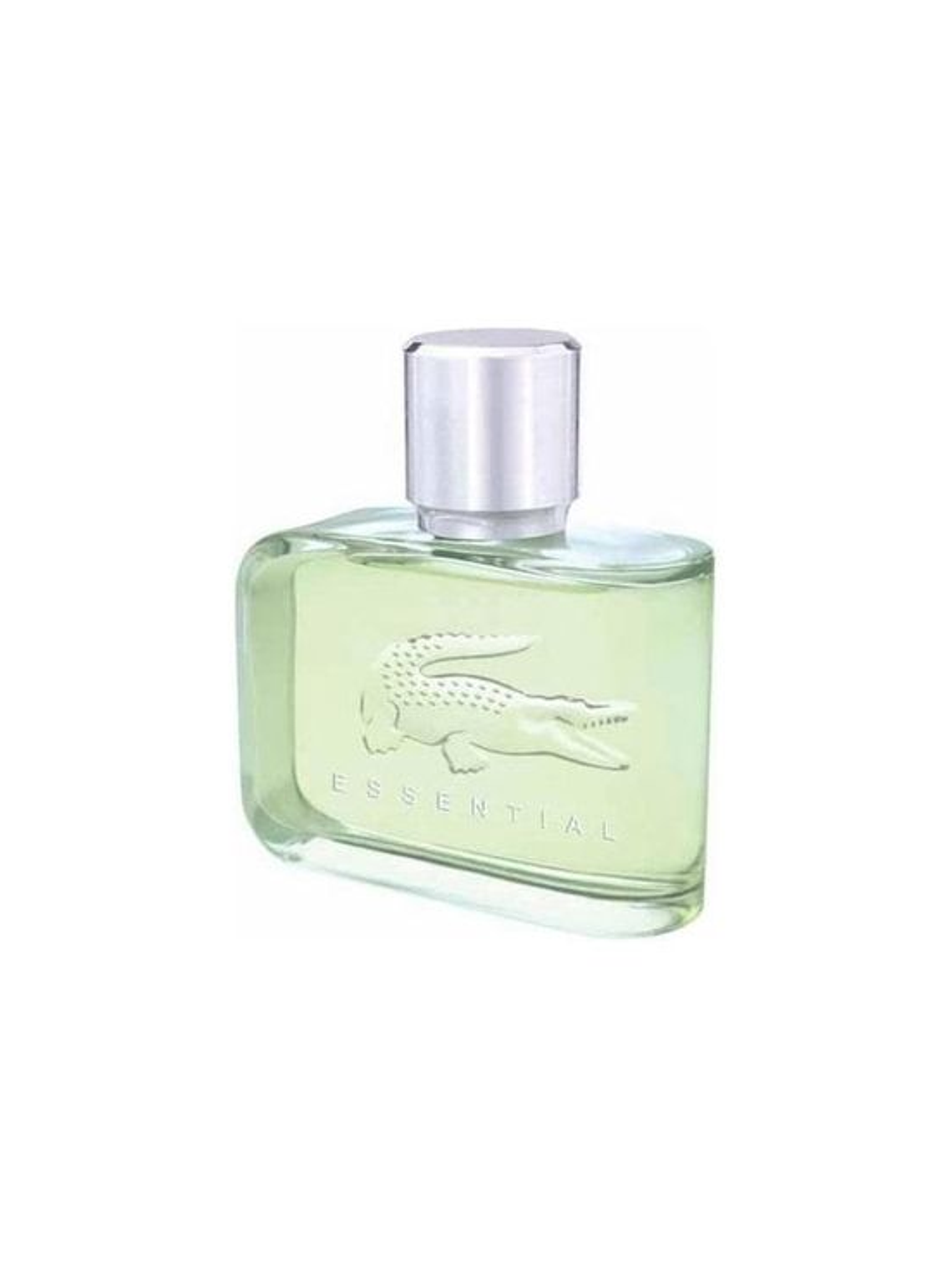 LACOSTE ESSENTIAL 3