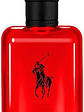 POLO RED RALPH LAUREN - Miniatura 2