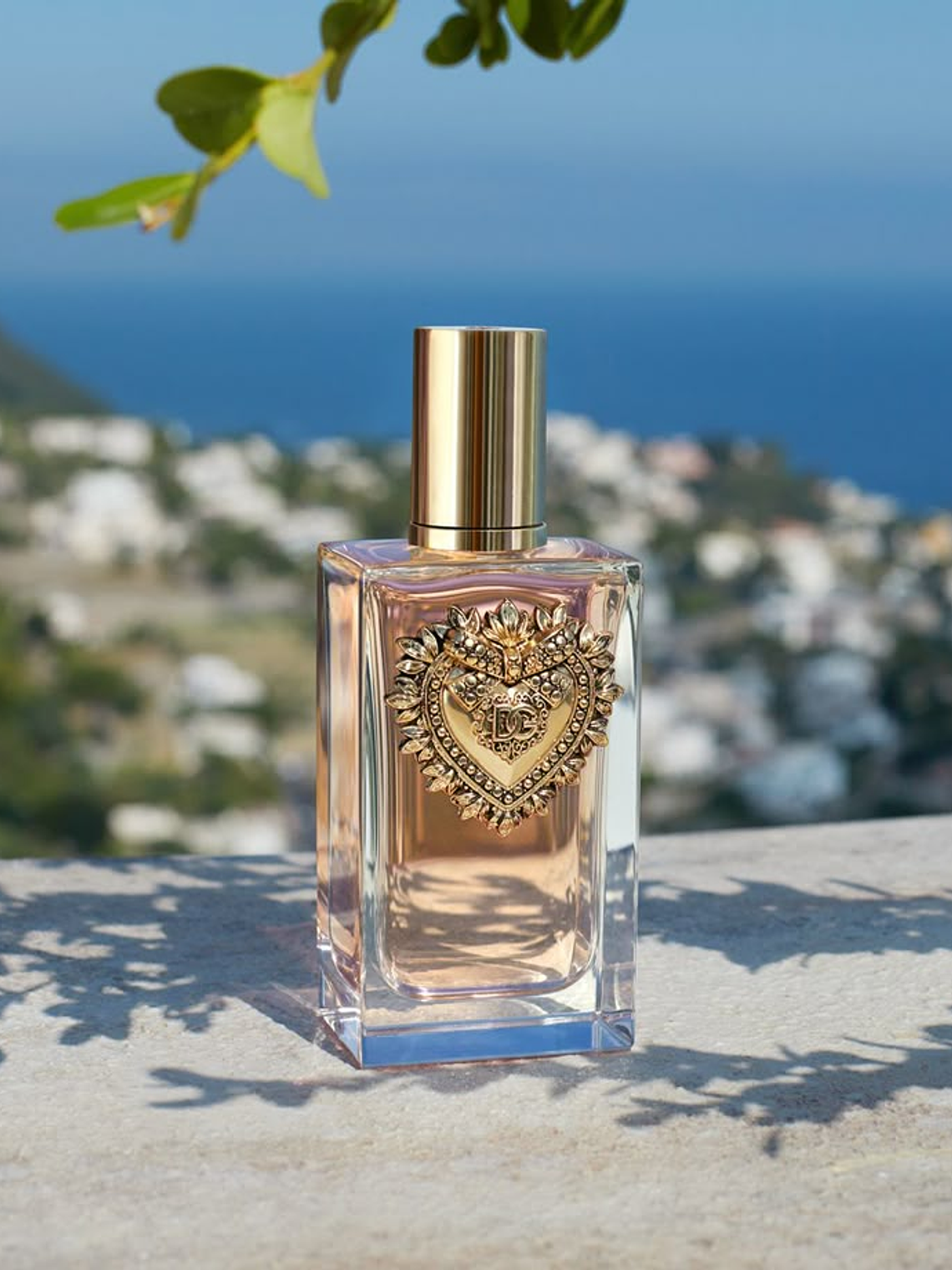 DEVOTION DOLCE&GABBANA 3