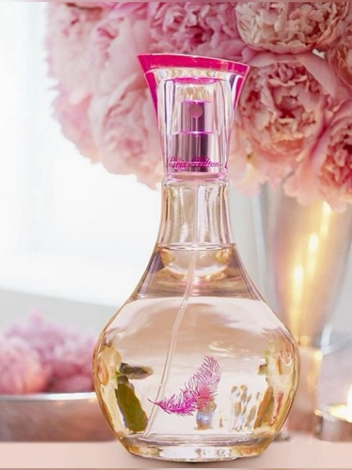 CAN CAN PARIS HILTON 2