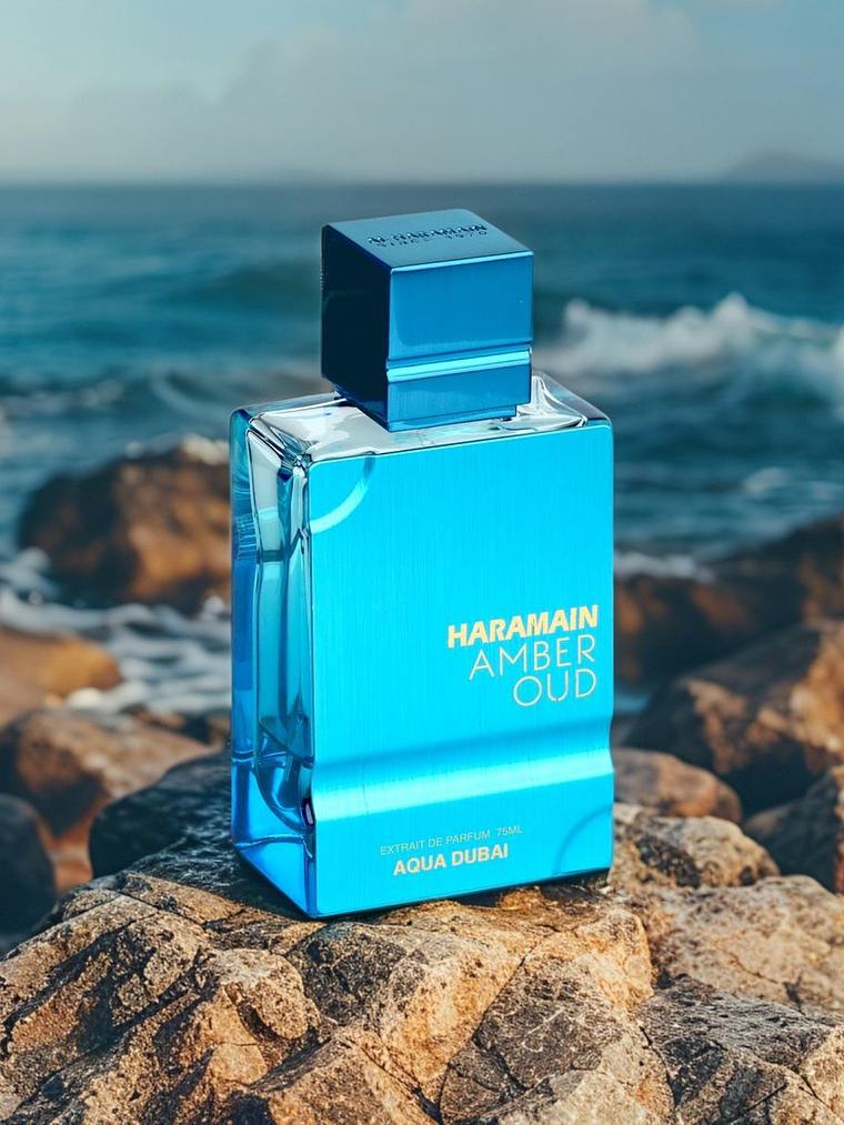 AL HARAMAIN AQUA DUBAI 3