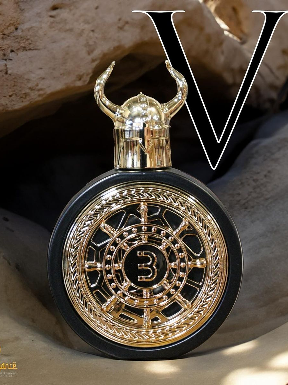 BHARARA VIKING CAIRO 3