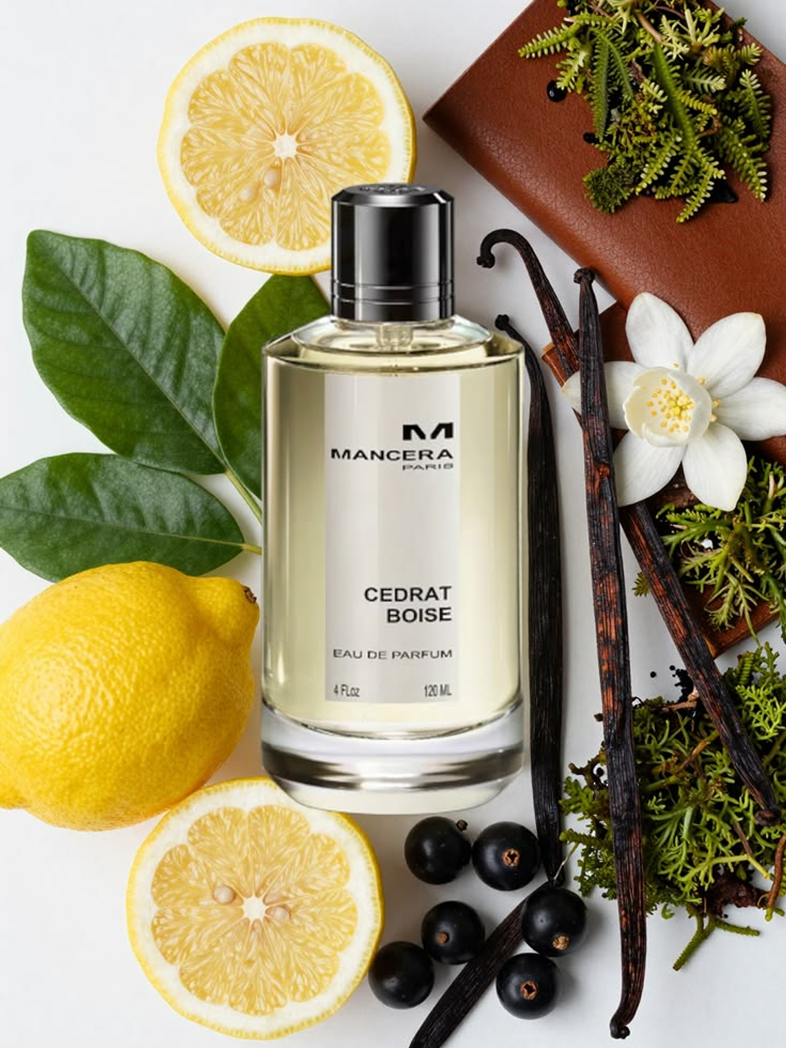 MANCERA CEDRAT BOISE 2