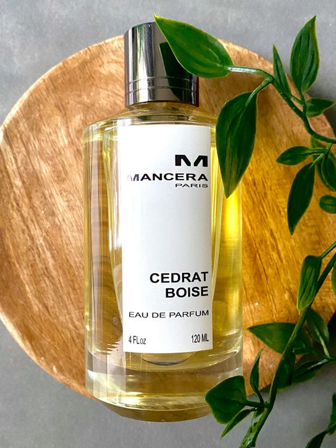 MANCERA CEDRAT BOISE 3