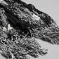 Bufanda Panuelo De Algodon Bf02 C/ Negro,gris, Blanco 1 Und - Miniatura 4