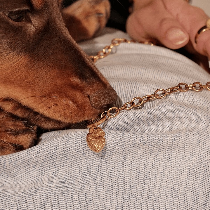 Cadena Corazon anatomico  5