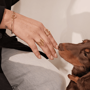 Anillo Transición Dorado