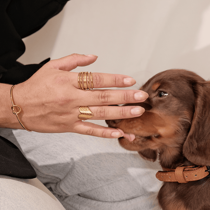 Anillo Svelto Dorado  2