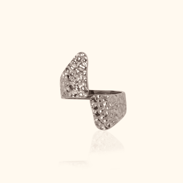 Anillo Martillado Doble Silver  1