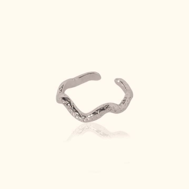Anillo Vivir Plateado 1