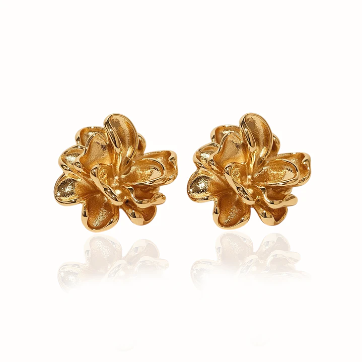 Aretes Firmeza - A Modo Propio 1