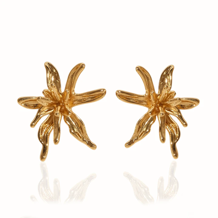 Aretes Fluir - A Modo Propio 1