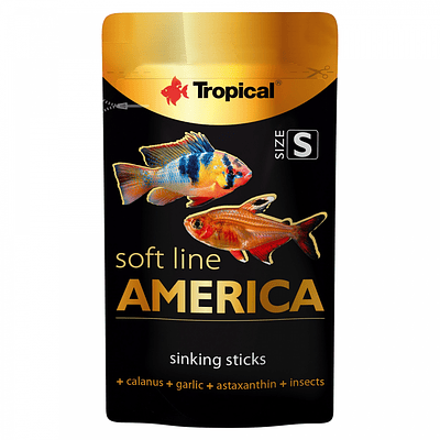 Soft Line America S 10G