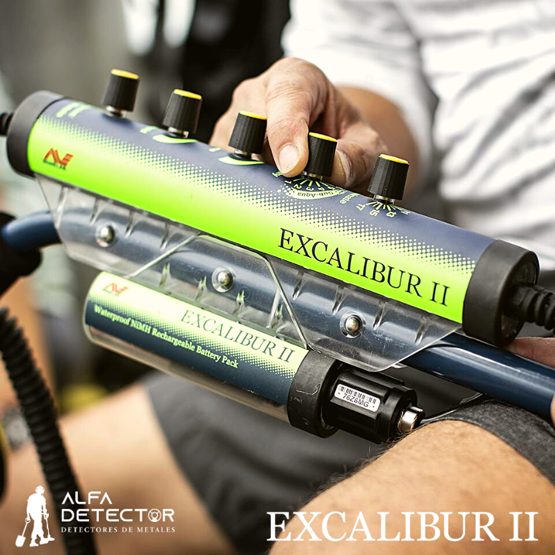 Detector de Metales Minelab Excalibur II 5
