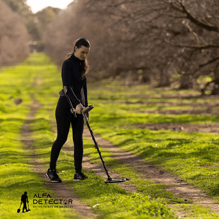 Detector de Metales Minelab X-TERRA Intrepid | Ideal para Principiantes 5