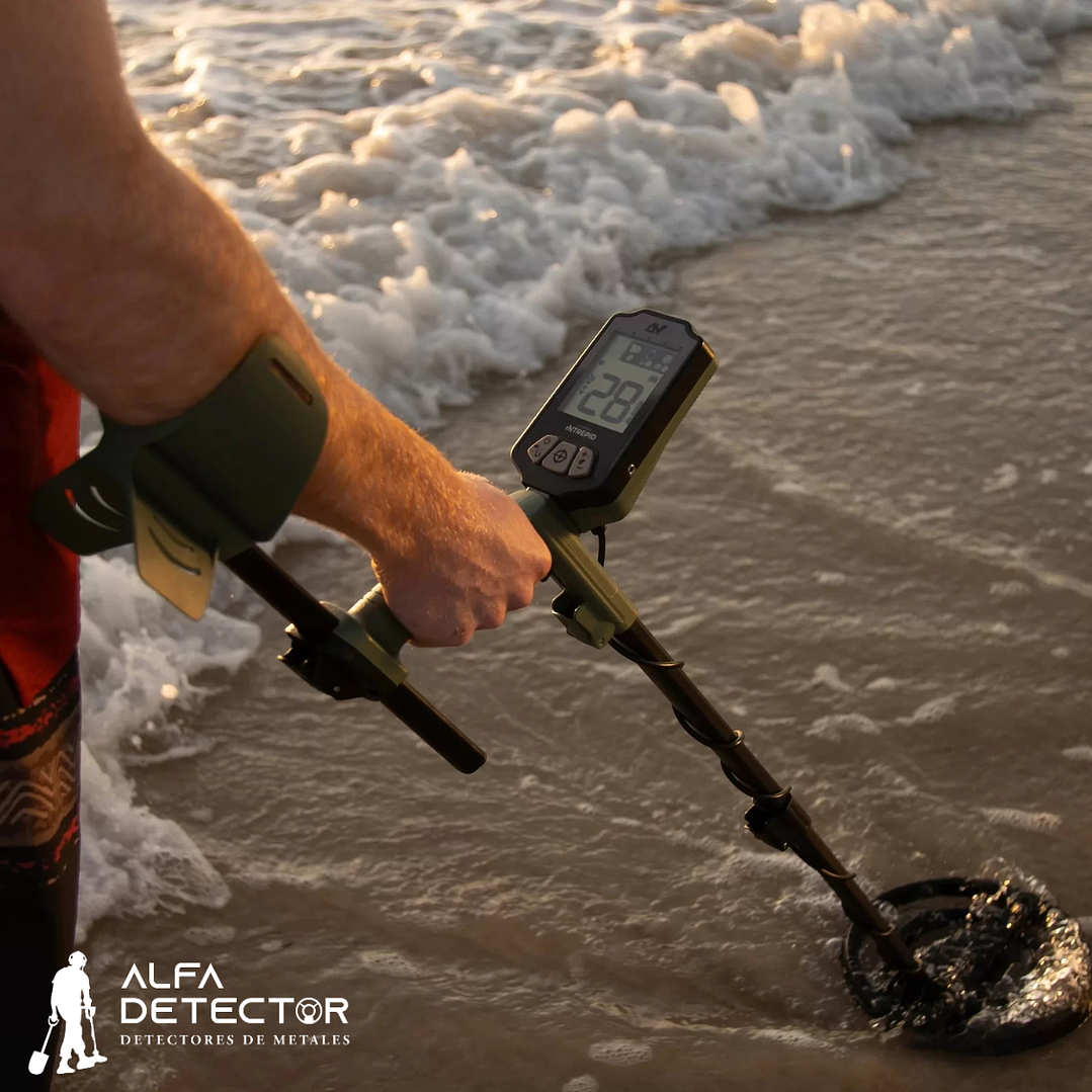 Detector de Metales Minelab X-TERRA Intrepid | Ideal para Principiantes 6
