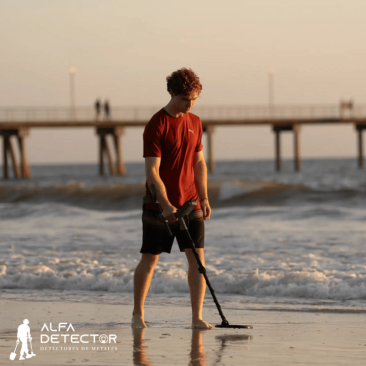 Detector de Metales Minelab X-TERRA Intrepid | Ideal para Principiantes 7