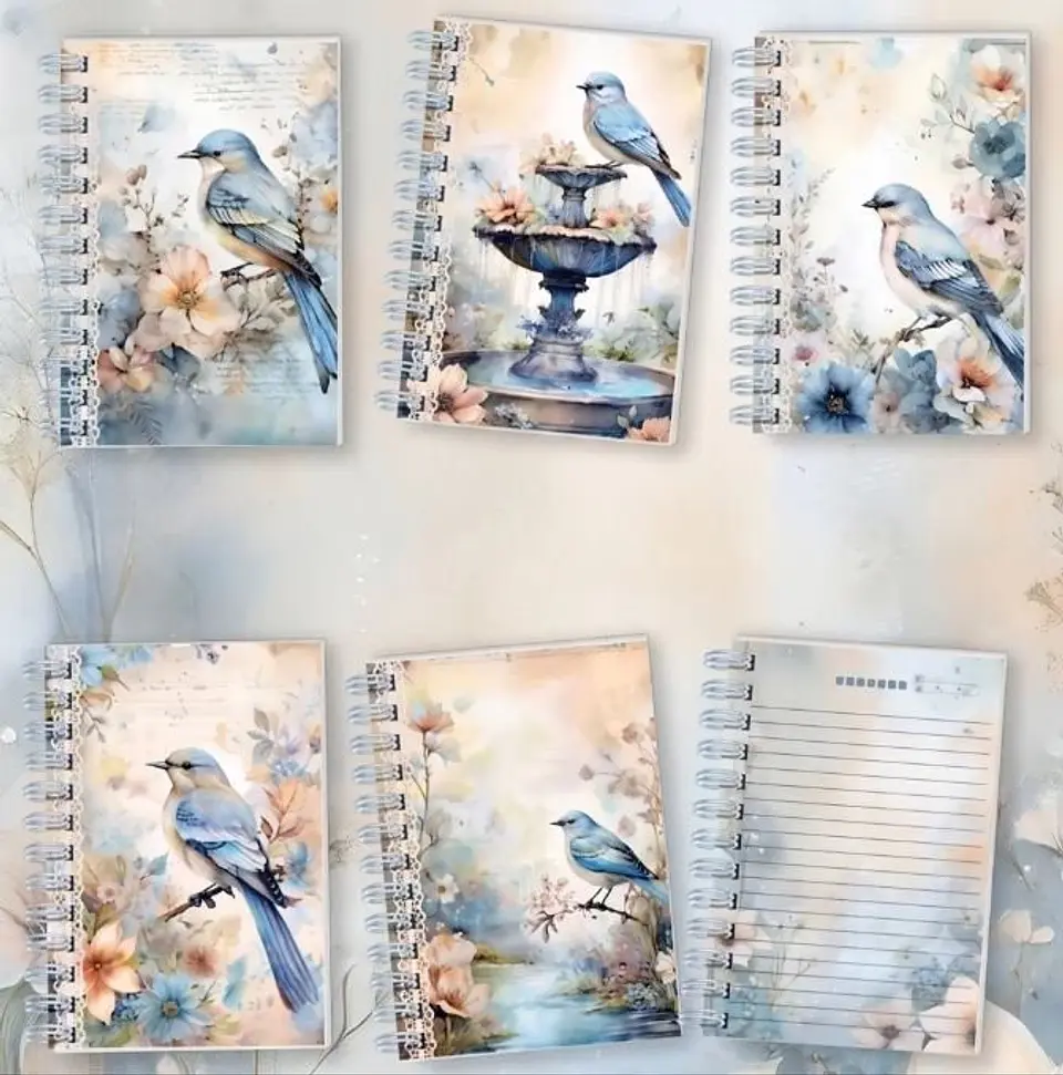 COLEÇÃO BIRD 4