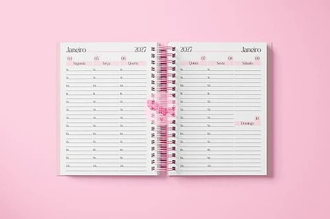 Miolo Agenda Rosa Visão Semanal 2027