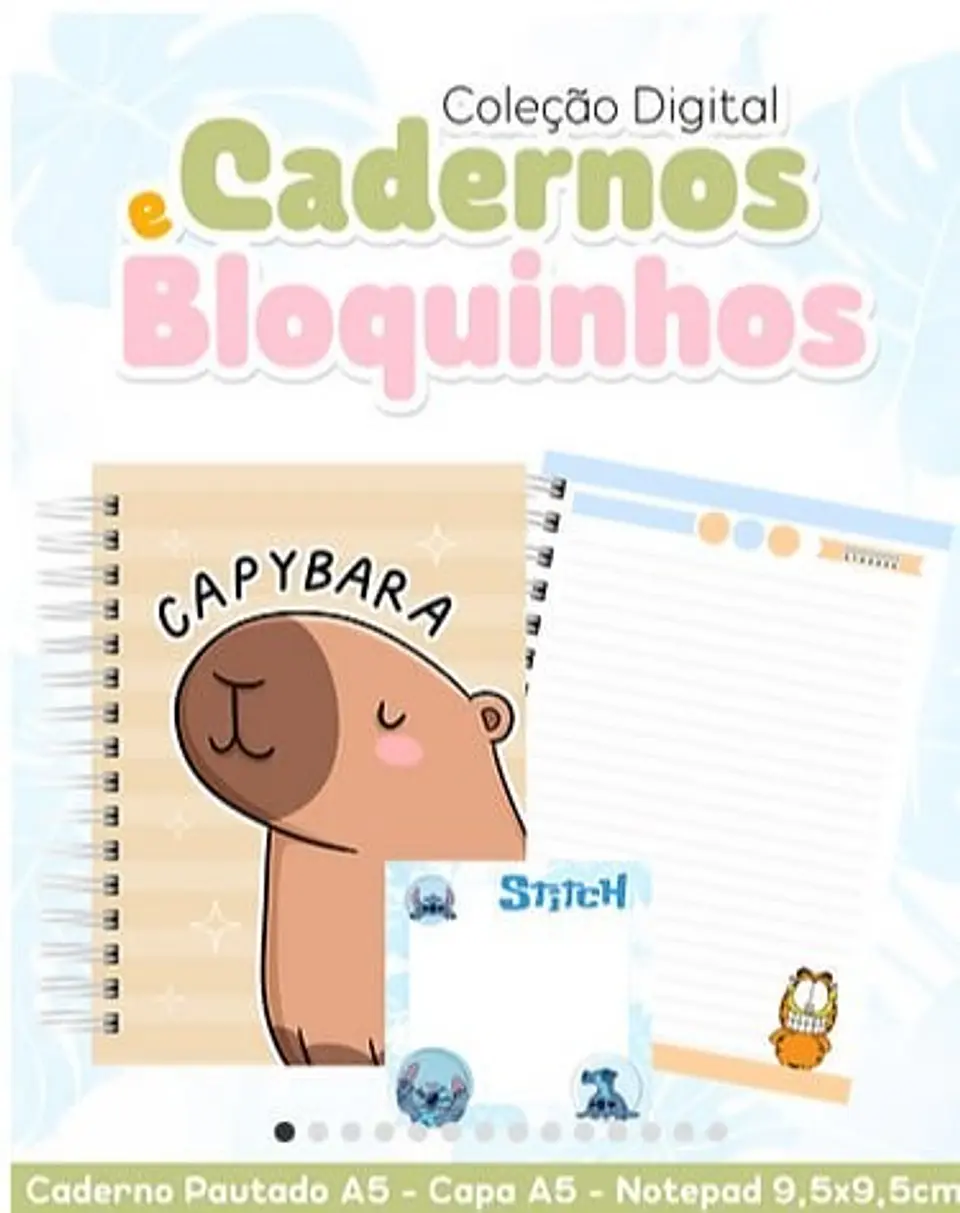 Coleção Cadernos e Bloquinhos 1