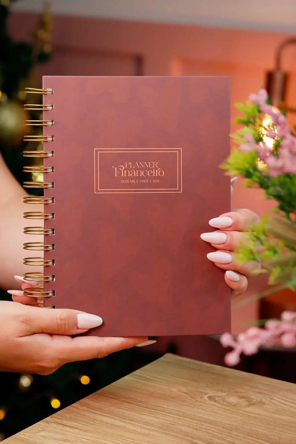 Arquivo Digital Planner Financeiro Neutro 2026 4