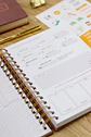 Arquivo Digital Planner Financeiro Neutro 2026 - Thumbnail 5