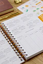 Arquivo Digital Planner Financeiro Neutro 2026 - Thumbnail 6