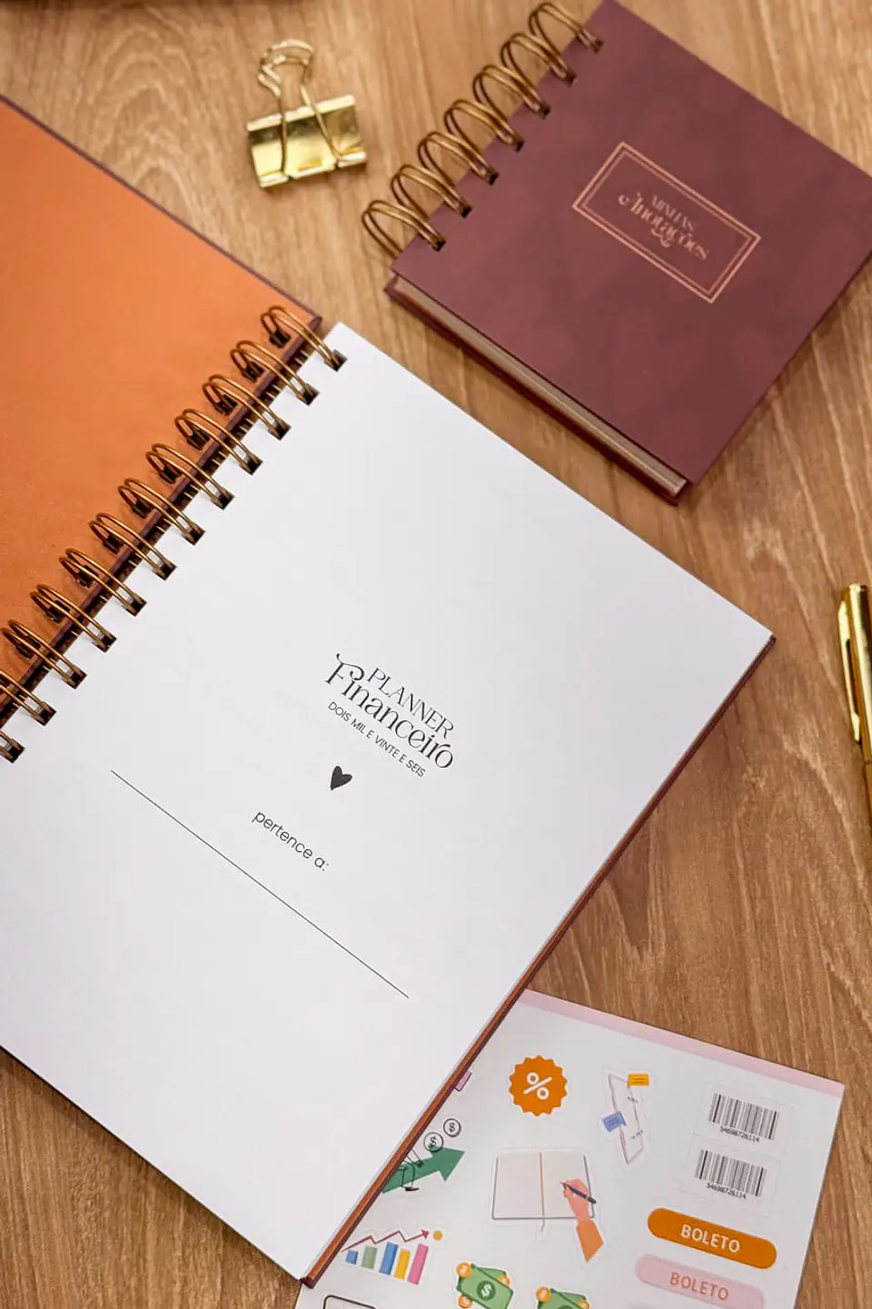 Arquivo Digital Planner Financeiro Neutro 2026 9