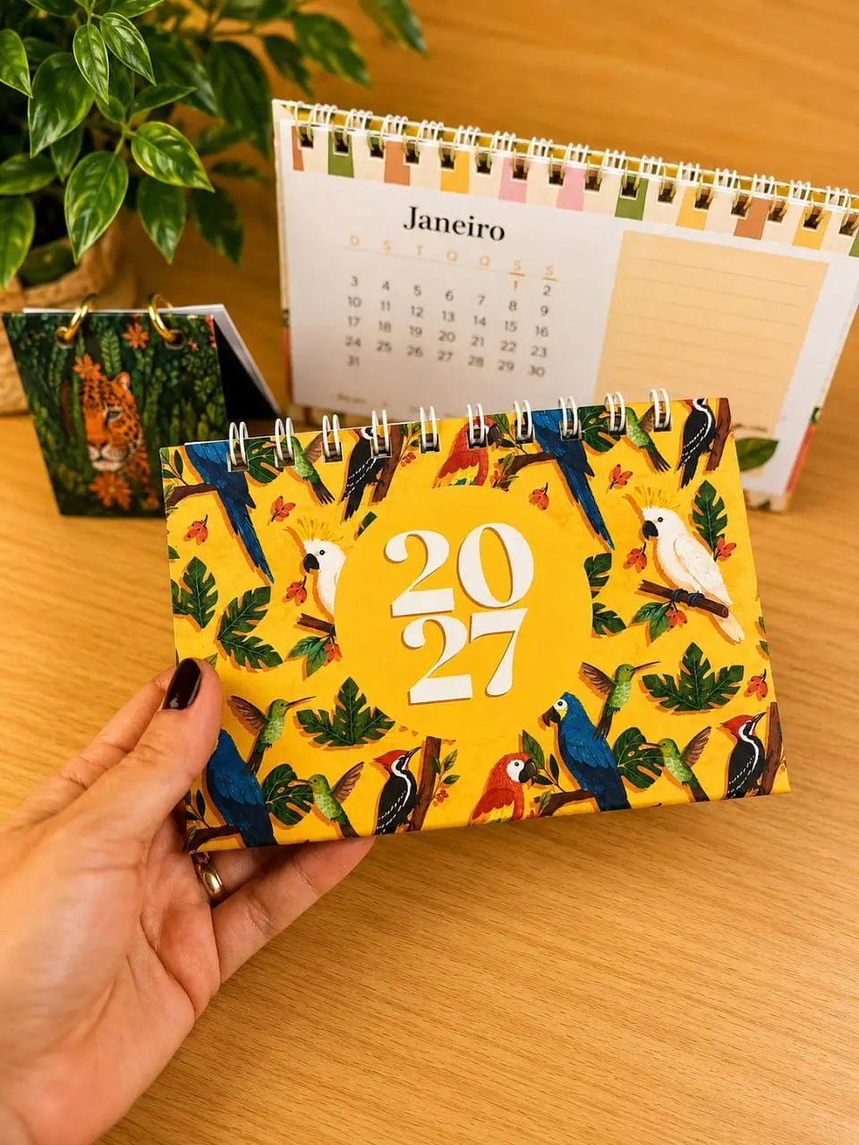 Brasil Tropical – Trio Calendários 7