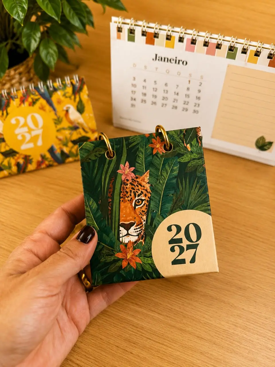 Brasil Tropical – Trio Calendários 8