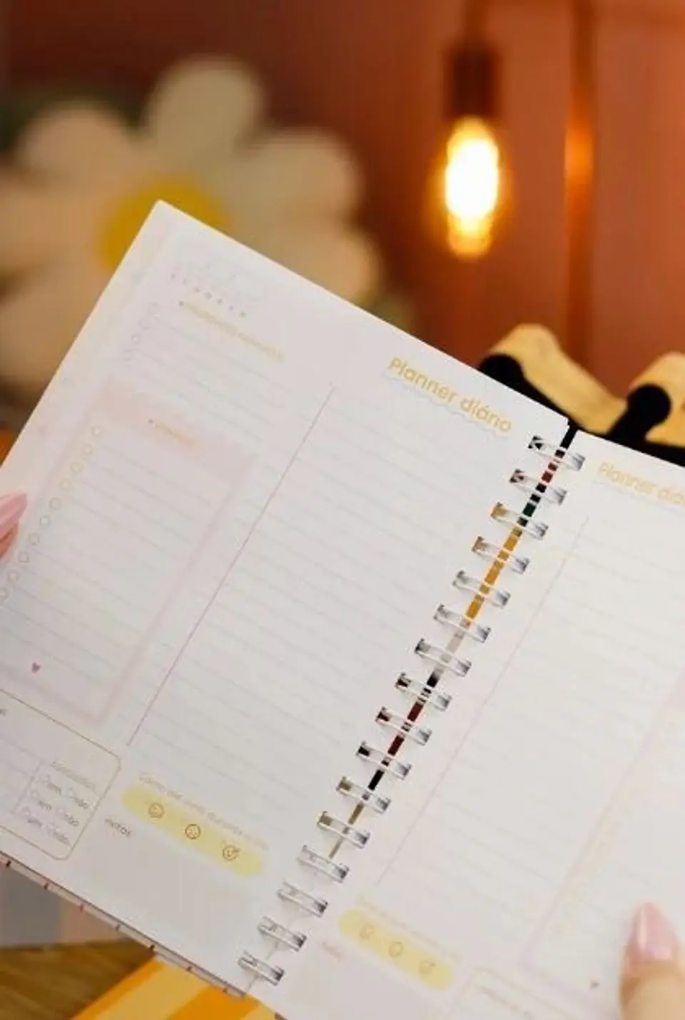 COMBO Planejadores e Calendários 2027 4