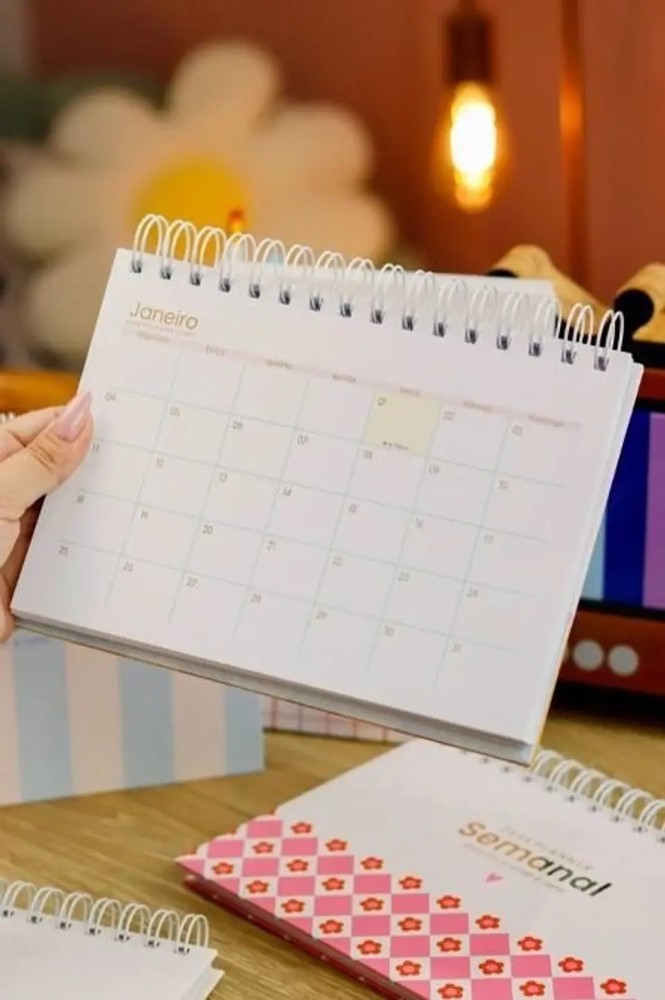 COMBO Planejadores e Calendários 2027 5