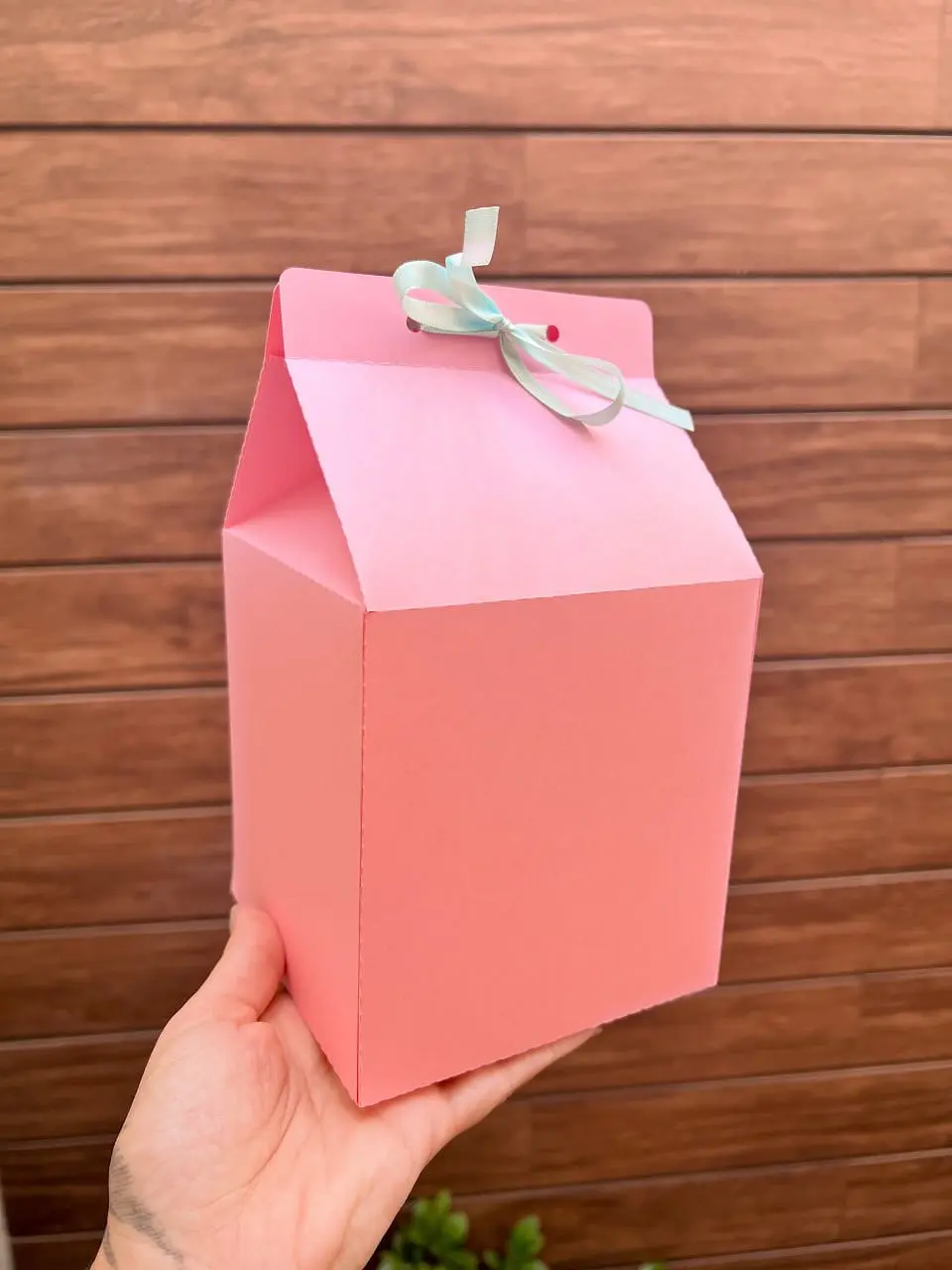 CAIXA MILK BOX - MOLDE LIMPO 1