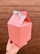 CAIXA MILK BOX - MOLDE LIMPO - Thumbnail 2