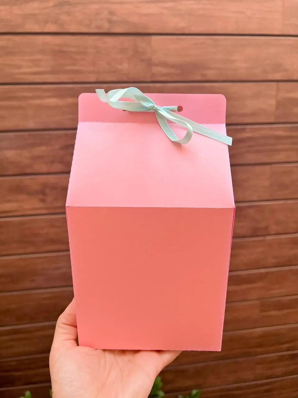CAIXA MILK BOX - MOLDE LIMPO 3