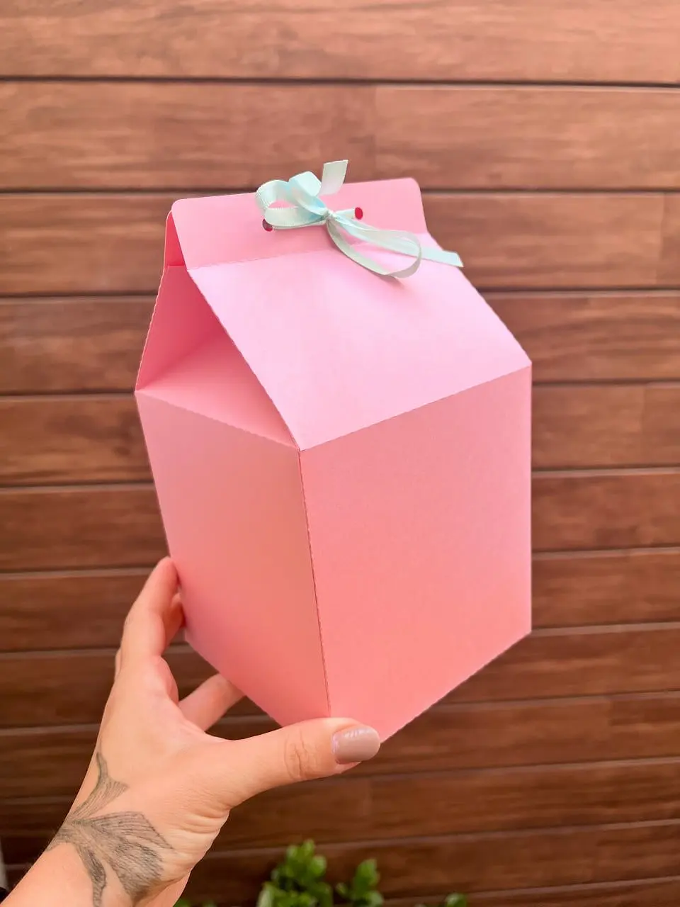 CAIXA MILK BOX - MOLDE LIMPO 5