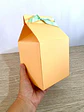 CAIXA MILK BOX - MOLDE LIMPO - Thumbnail 6