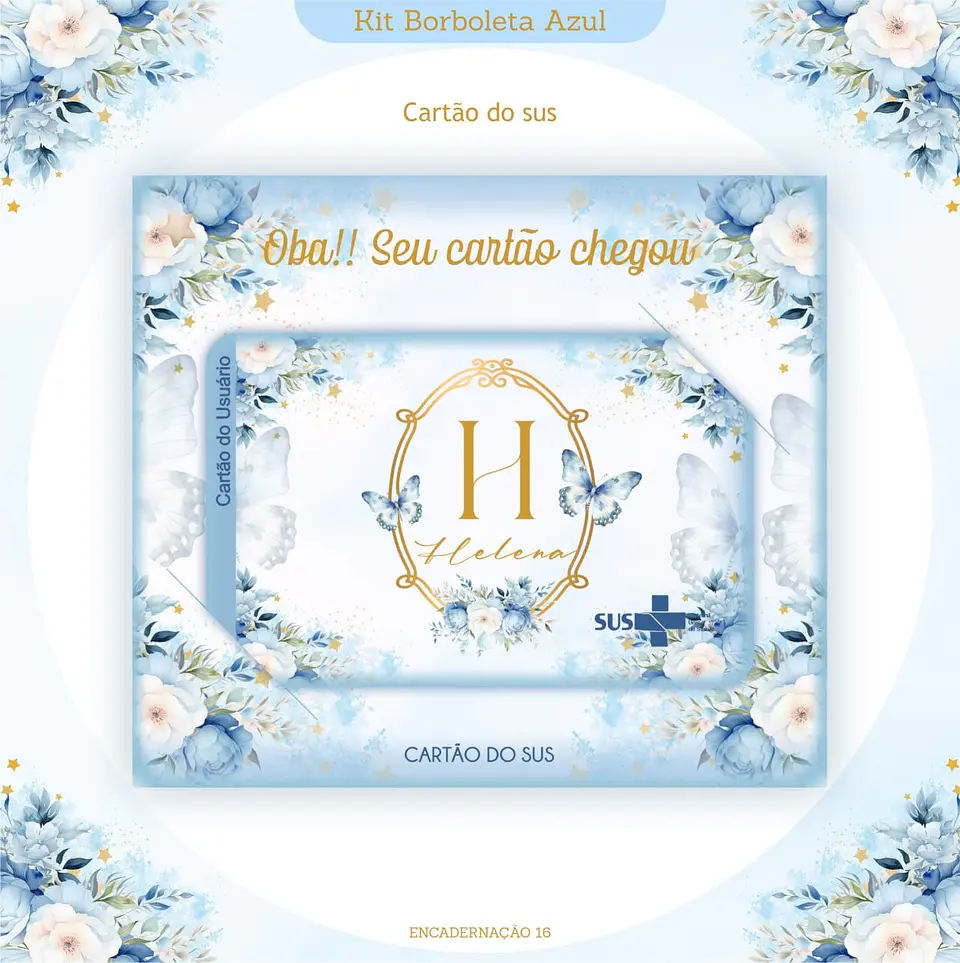 Caderneta e Kit Maternidade BORBOLETA AZUL 18