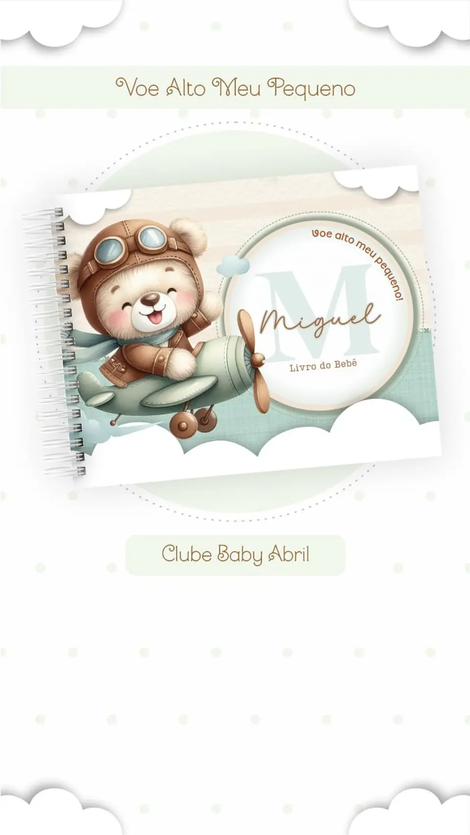 Caderneta e Livro do bebe Ursinho Voe Alto Meu Pequeno 12