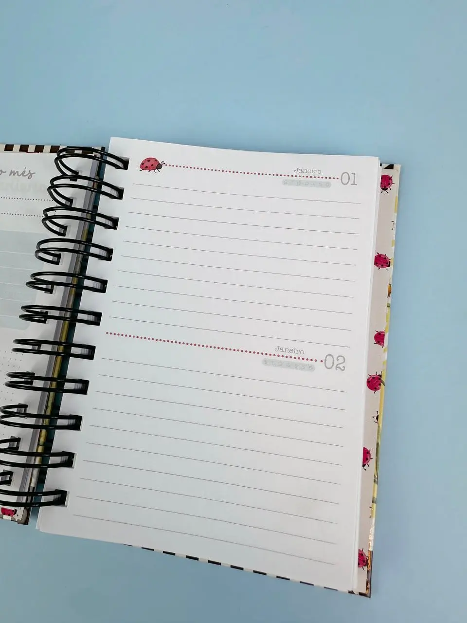 Dona Joana Combo Encadernação 02 12
