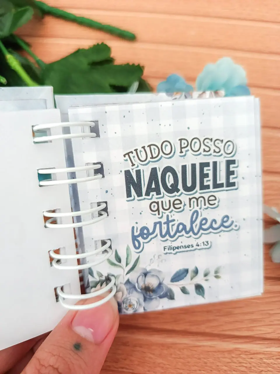 Arquivo Digital Biblia da Mamãe Azul 2026 2