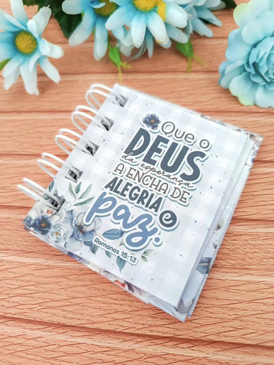 Arquivo Digital Biblia da Mamãe Azul 2026 5