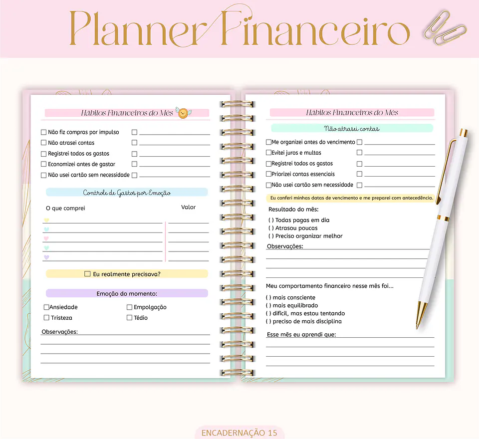 Planner Financeiro 2026 e 2027 Arquivo Digital 5