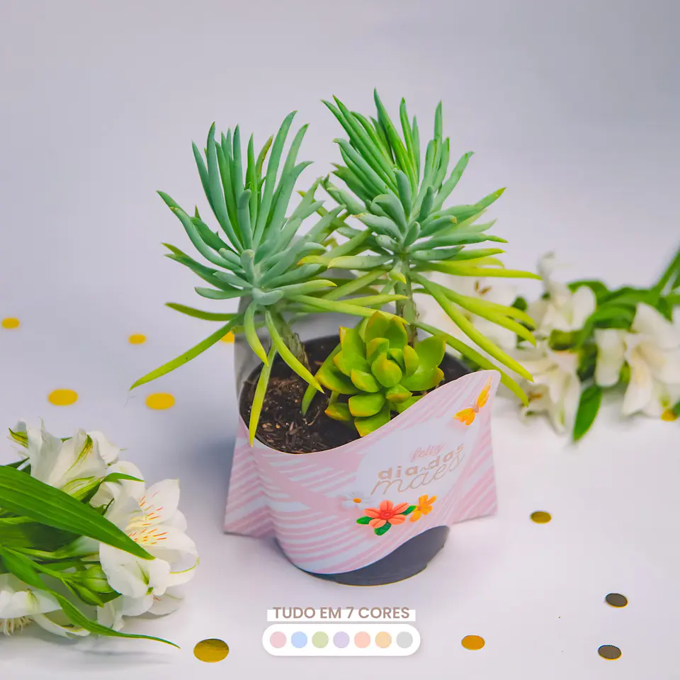 Coleção Dia das Mães Essencial Arquivo Digital 21