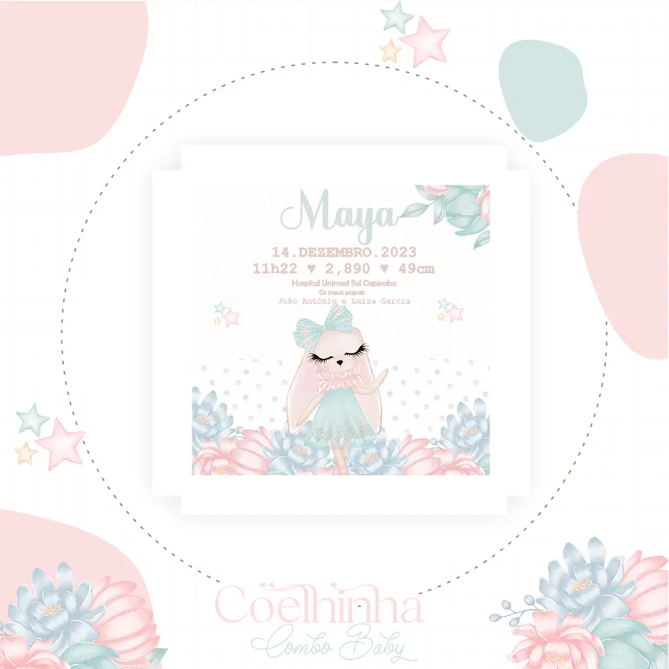 Coelhinha Maternidade Caderneta Vacina/Livro Bebê 7