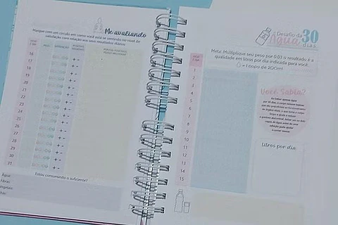 Arquivo Combo de Planner Fitness 2026
