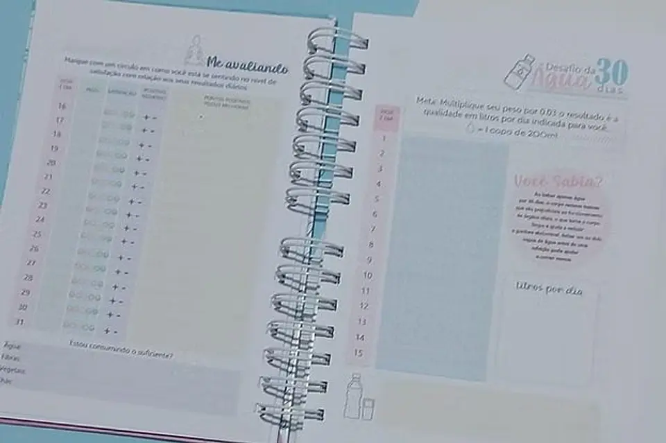 Arquivo Combo de Planner Fitness 2026 2