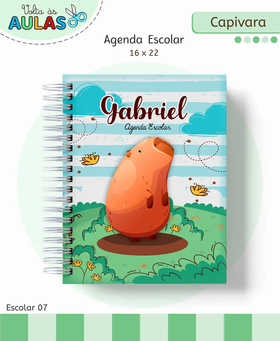 Arquivo Digital Pack Volta ás Aulas Escolar 2026 Capivara Menino 9