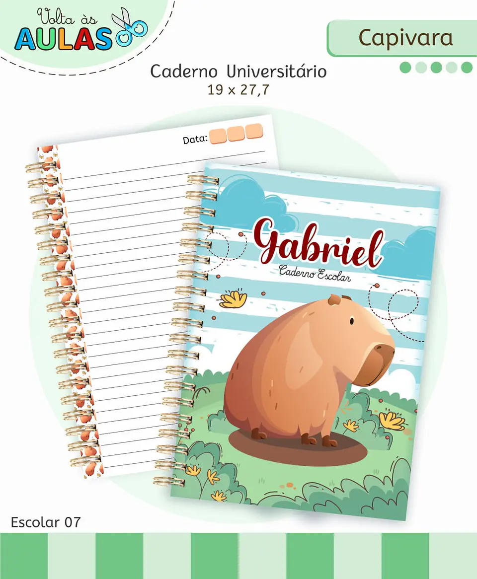 Arquivo Digital Pack Volta ás Aulas Escolar 2026 Capivara Menino 10