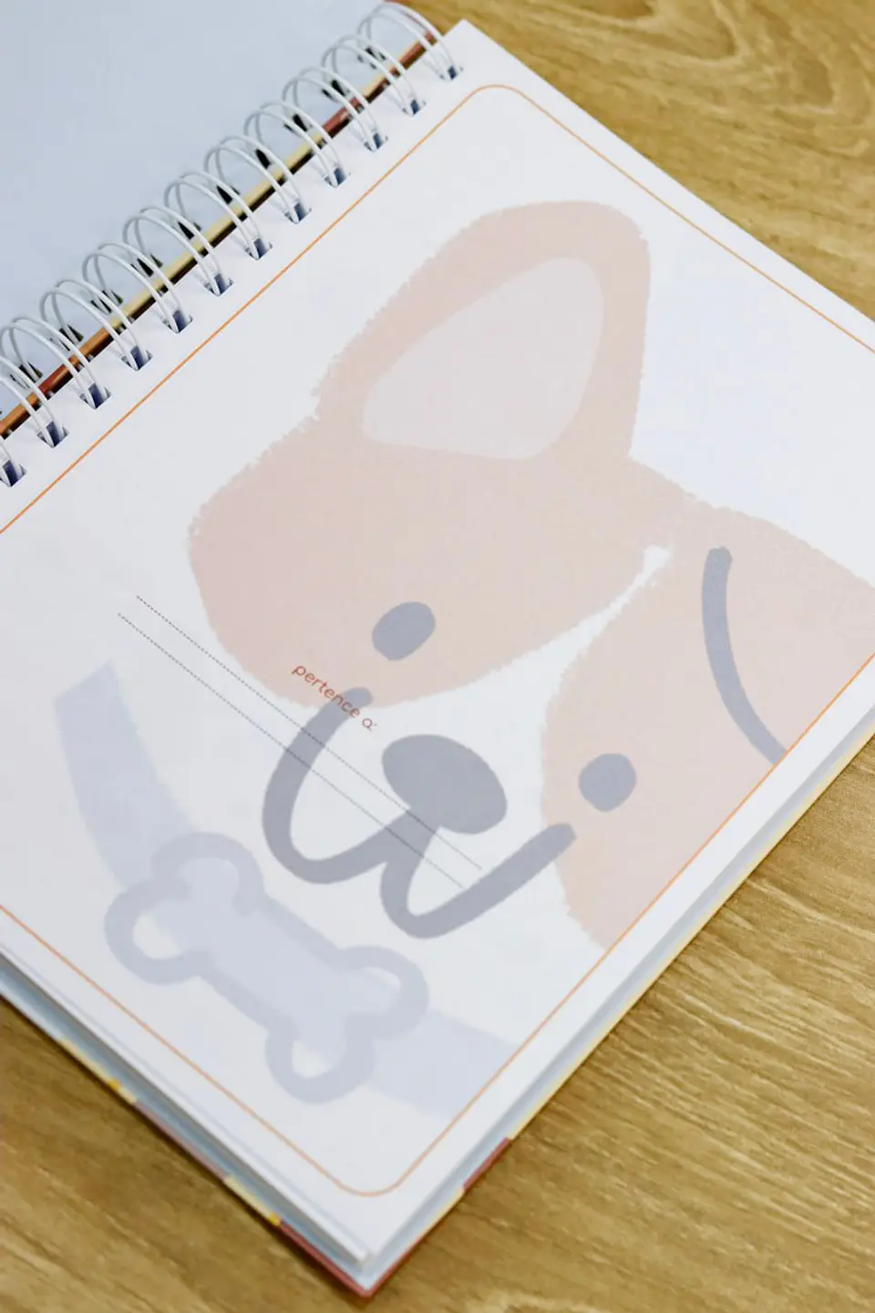 Arquivo Digital Kit Pet, Dog & Cat Volta às Aulas 2026 4